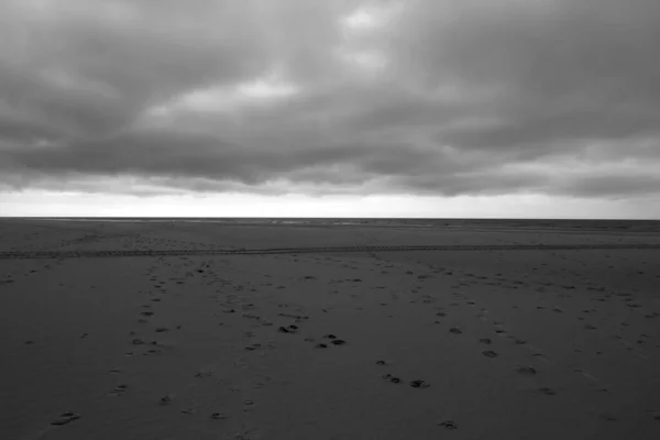 Frühlingsstimmung Auf Sylt — Stockfoto