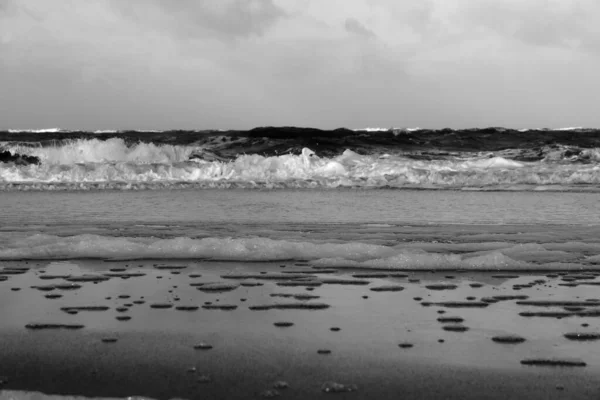 Humeur Printanière Sur Île Sylt — Photo