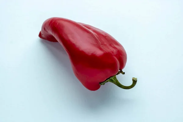 Rode peper op witte achtergrond. levendige kleuren — Stockfoto