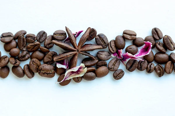 Paluszki cynamonowe z ziaren kawy i anyż. Ziarna pełnoziarniste z aromatycznymi przyprawami, kawa palona, rozmycie. — Zdjęcie stockowe