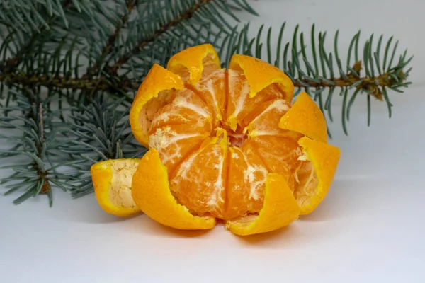 白い背景には、葉とトウヒの枝を持つオレンジ色のみかんがあります。 — ストック写真