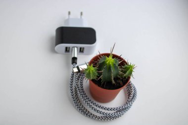 Charger wire with usb port on white background.