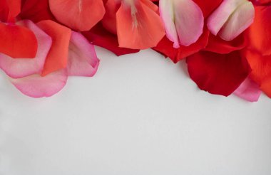 Kırmızı gül yaprakları çiçek arkaplan dokuları. Doğa çiçekleri.