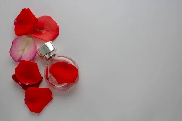 Άρωμα και πέταλο κόκκινο τριαντάφυλλο σε λευκό φόντο — Φωτογραφία Αρχείου