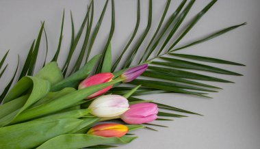 Açık arkaplanda bir buket pembe lale. Tatil kartı.