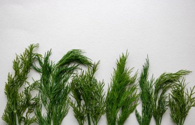 Taze yeşil dereotu beyaz arka planda izole edilmiş. en üstteki görünüm.