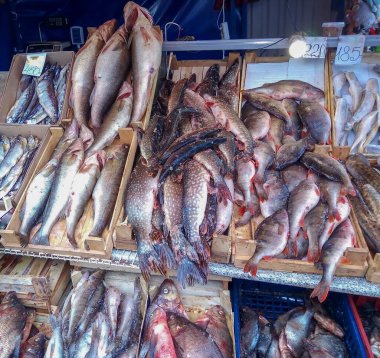 bir pazarda taze balıklar