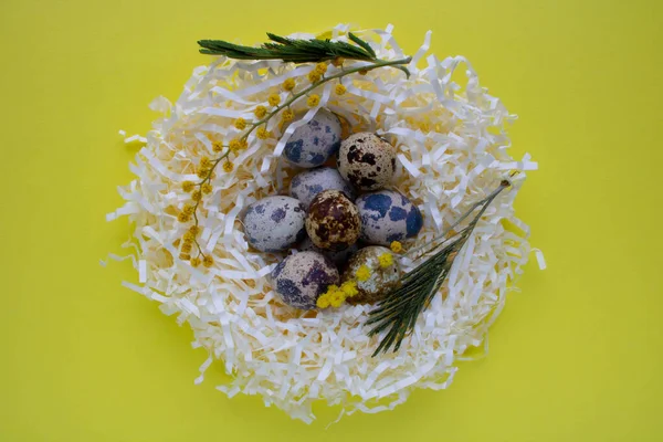 Easter Decor Floral Nest Common Quail Eggs Yellow Background Organic Stock Image