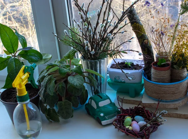 Petit Pot Plante Affiché Dans Couleur Vintage Fenêtre — Photo