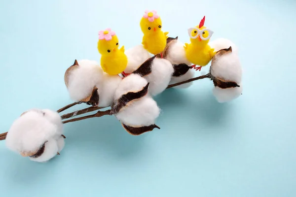 Kis játék sárga csirkék ülnek egy ág fehér gyapot.Húsvét koncepció. — Stock Fotó