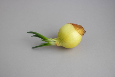 Yeşil soğan soğanı beyaz arka planda izole edilmiş. Kırpma yolu ile paket tasarımı ögesi.