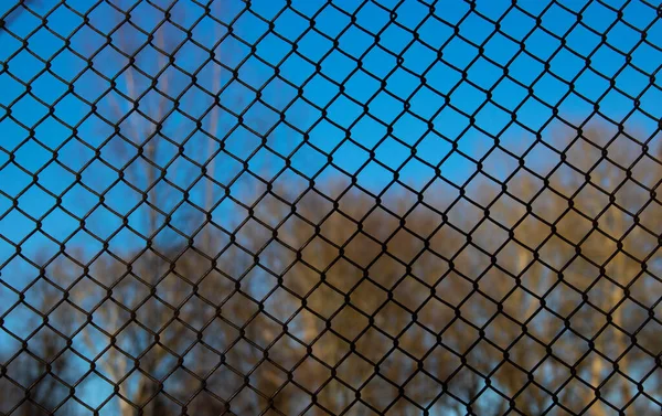 Iron wire fence isolated on a blue background.