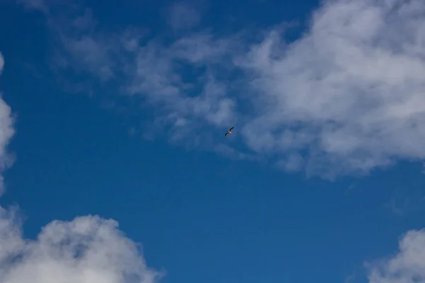 Beau Ciel Bleu Avec Des Nuages Blancs Météo Printanière — Photo