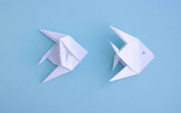 Peixe de origami de papel poligonal geométrico moderno branco artesanal em fundo azul.Passo 3 . — Fotografia de Stock
