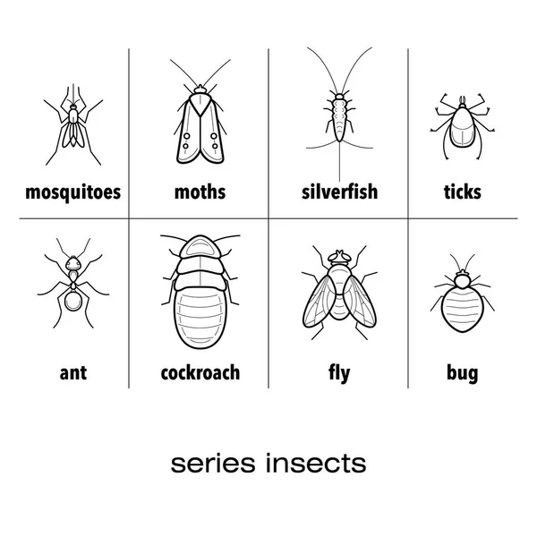 Ensemble d'icônes d'insectes . — Image vectorielle