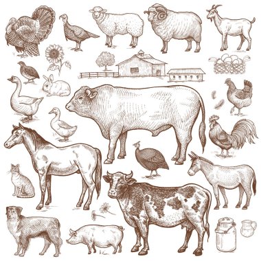 Animals cattle, poultry, pets, landscape. clipart