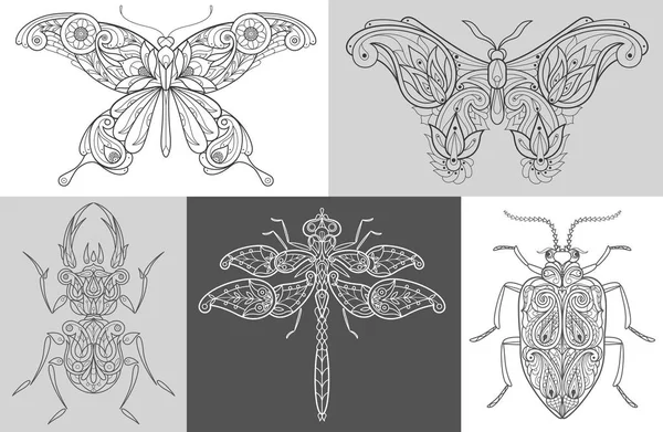 Póster con insectos decorativos . — Vector de stock