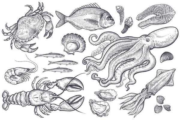 Ensemble de fruits de mer . — Image vectorielle