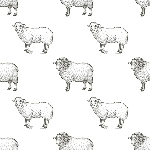 Naadloze patroon met rammen en schapen. — Stockvector