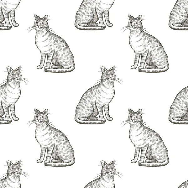 Sömlöst mönster med katter. — Stock vektor