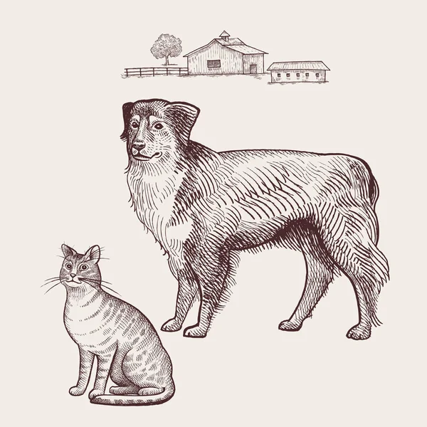 Pes a kočka. — Stockový vektor