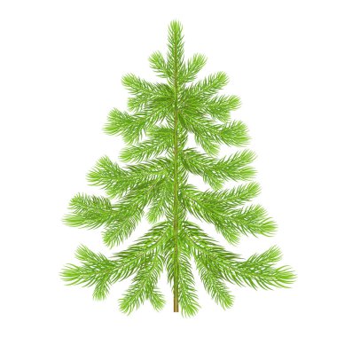 Noel ağacı yeşil.