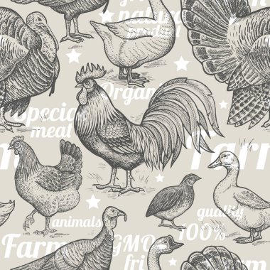 Seamless pattern with poultry. clipart