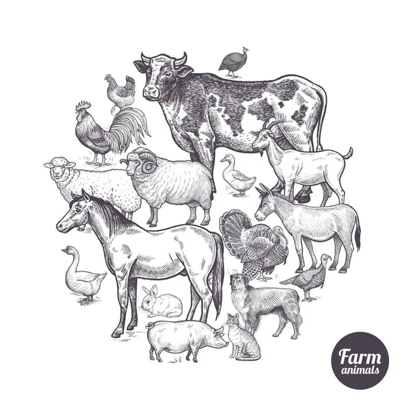 Ensemble d'animaux de ferme. — Image vectorielle