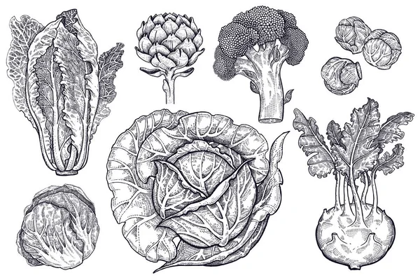 Verschiedene Arten von Schwarz-Weiß-Grafiken. — Stockvektor