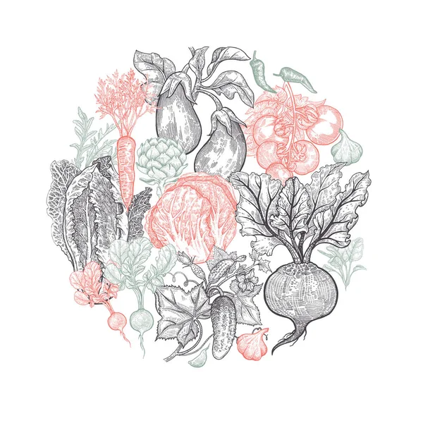 Ensemble de légumes. Graphiques vintage . — Image vectorielle