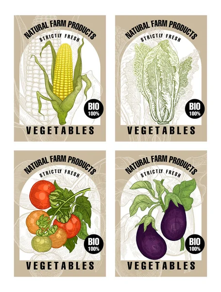 Etiquetas con verduras . — Vector de stock