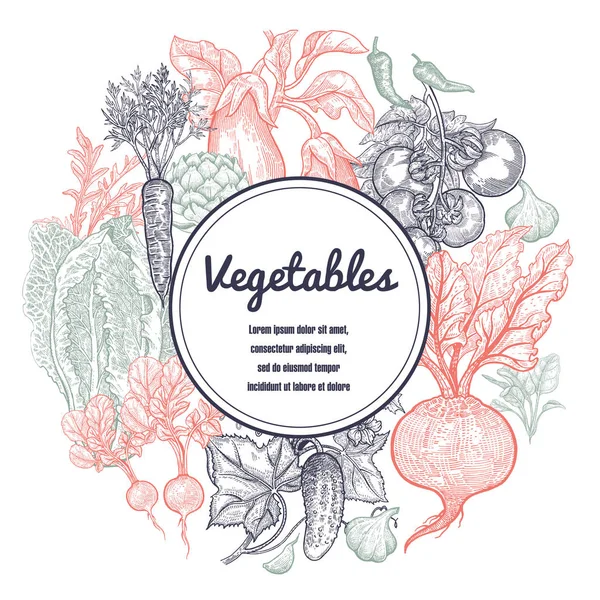 A zöldségek és a hely a szöveg keret. — Stock Vector