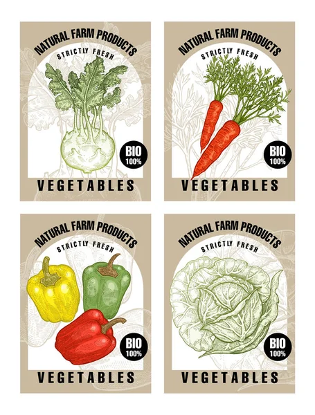 Etiquetas con verduras . — Vector de stock