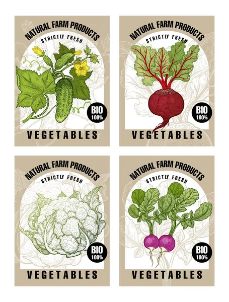 Etiquetas con verduras . — Vector de stock