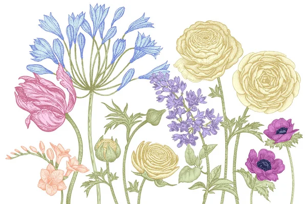 Carte avec fleurs printanières vintage . — Image vectorielle