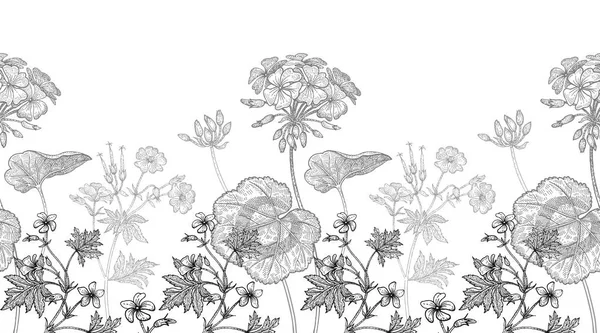 Flores de geranio. Patrón floral sin costuras . — Vector de stock