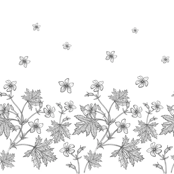 ดอกไม้เจอเรเนียม รูปแบบดอกไม้ไร้รอยต่อ . — ภาพเวกเตอร์สต็อก