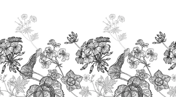 Geranium blommor. Sömlös blommönster. — Stock vektor