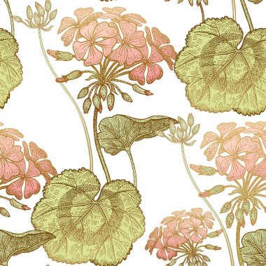 Sardunya çiçekleri. Sorunsuz çiçek desenli.