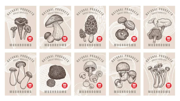 Etiketten mit Pilzen. — Stockvektor