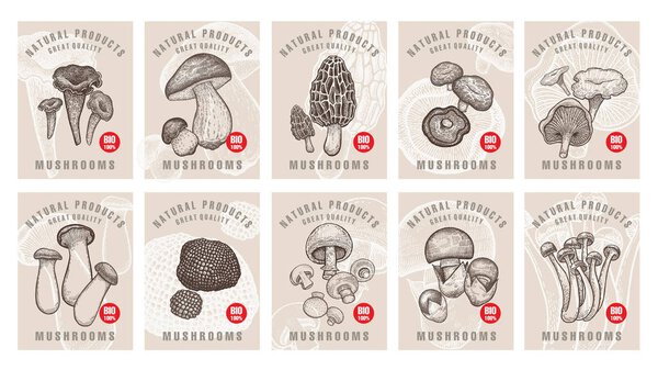 Labels with mushrooms set.