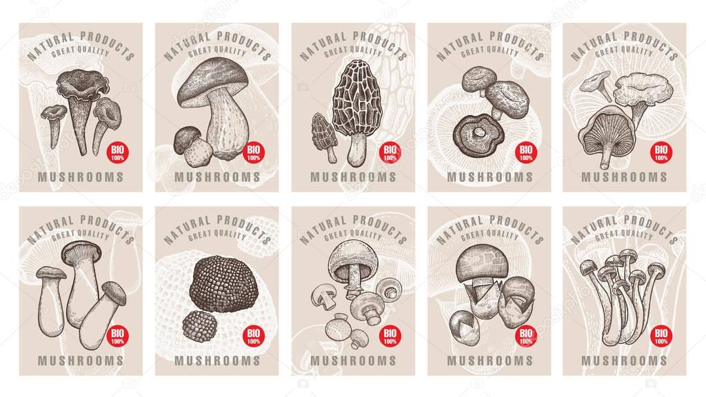 Labels with mushrooms set.