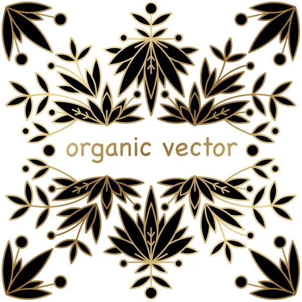 Ambalaj tasarım şablonu