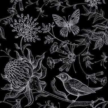 Egzotik çiçekler, kelebekler ve kuşlar. Sorunsuz vektör çiçek desenli vintage tarzı. Tasarım lüks kumaşlar, kağıt, servis talebi telefon, kapak için. İllüstrasyon sanat Beyaz tebeşir siyah bir zemin üzerine.