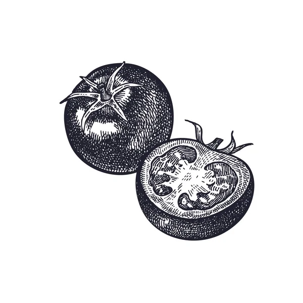 Pomodori isolati su baskground bianco . — Vettoriale Stock