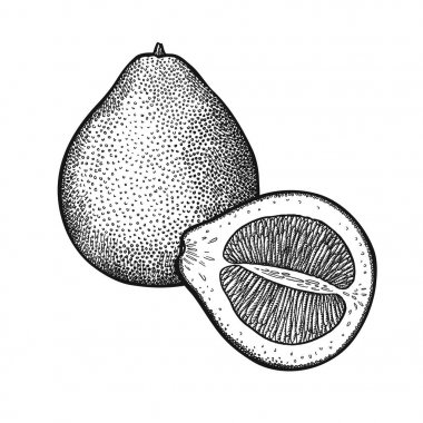 Vintage Pomelo oyma.