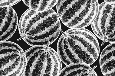 Karpuz ile sorunsuz vektör desen.