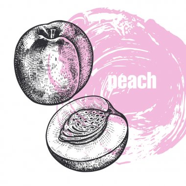 Şeftali meyve üzerinde beyaz backgrou izole gerçekçi illüstrasyon