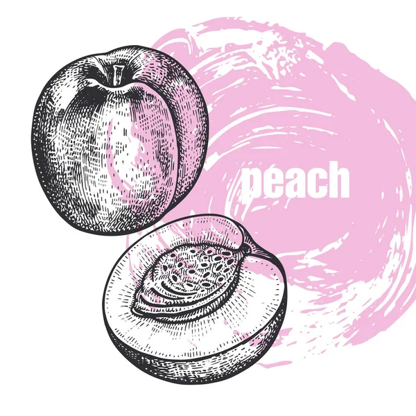Realistische Darstellung von Pfirsichfrüchten isoliert auf weißem Hintergrund — Stockvektor