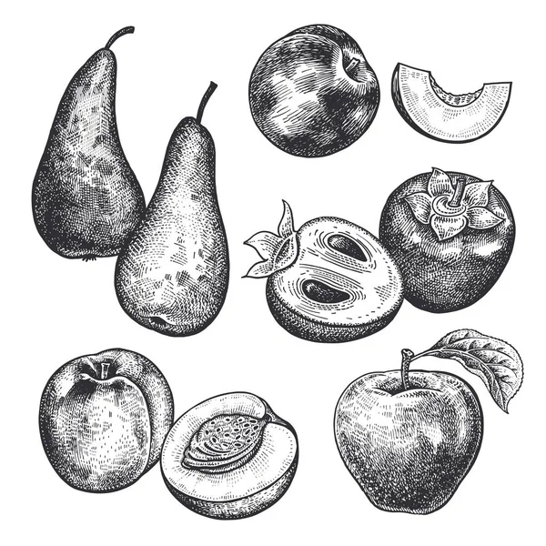 Bär Och Frukt Set Realistiska Apple Päron Persimon Nektarin Persika — Stock vektor